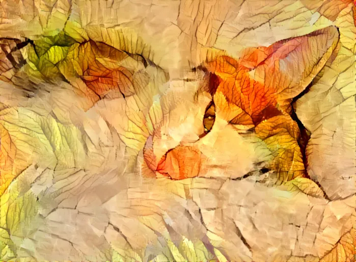 1ed17198b24f96f60d9d1e4ba5e7d24c0aea9b04.jpg