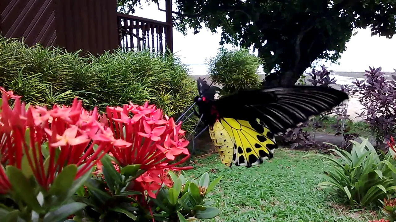 vlcsnap_2021_06_26_19h59m02s428.png