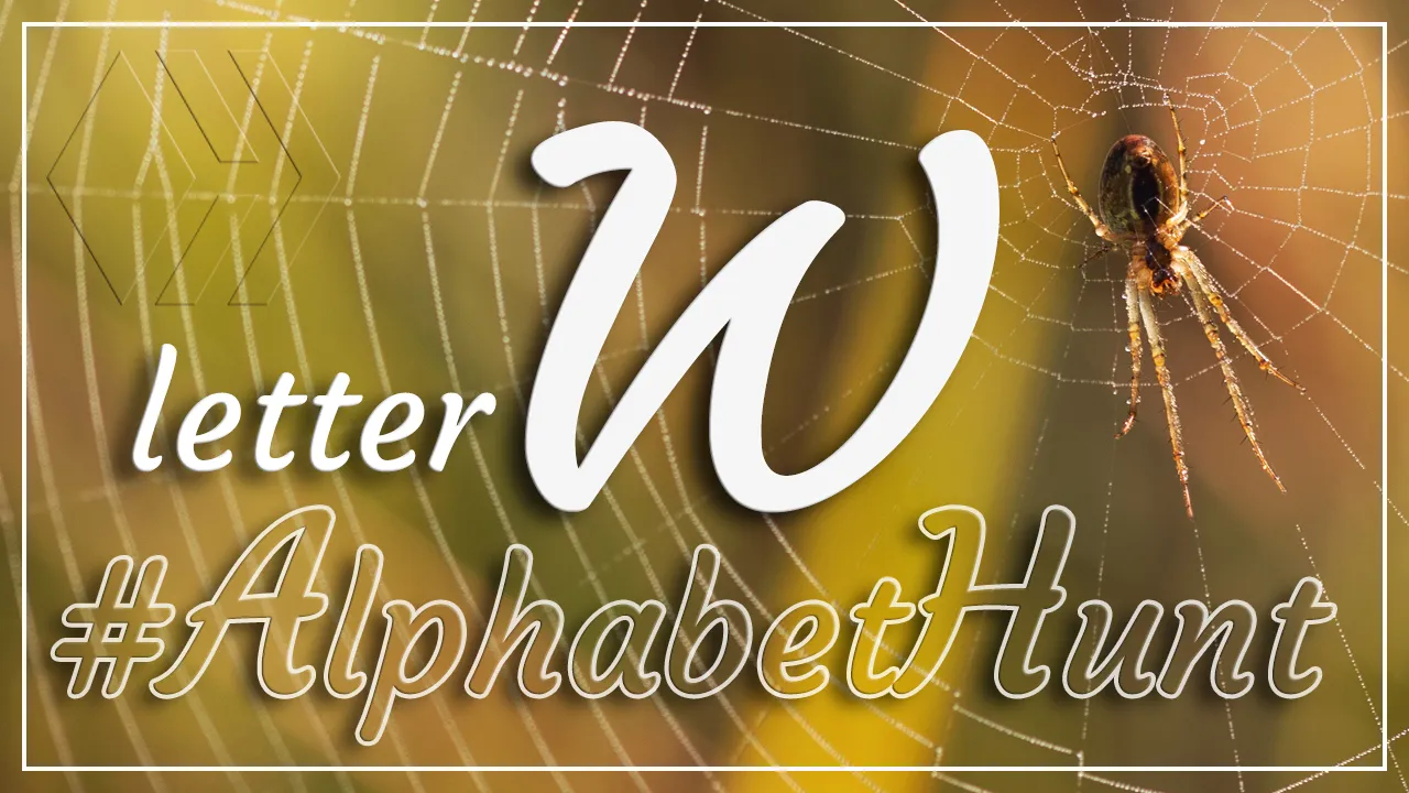 Hive AlphabetHunt - Letter W