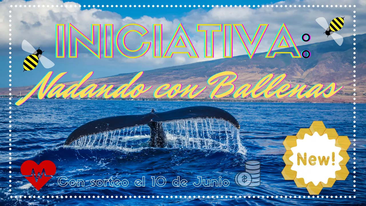 iniciativa_nadando_con_ballenas.png