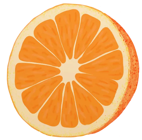 orange%20tranche%20vive%20redim.png