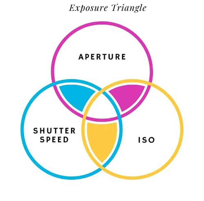 exposure.triangle.mishra.venn_.d.jpg