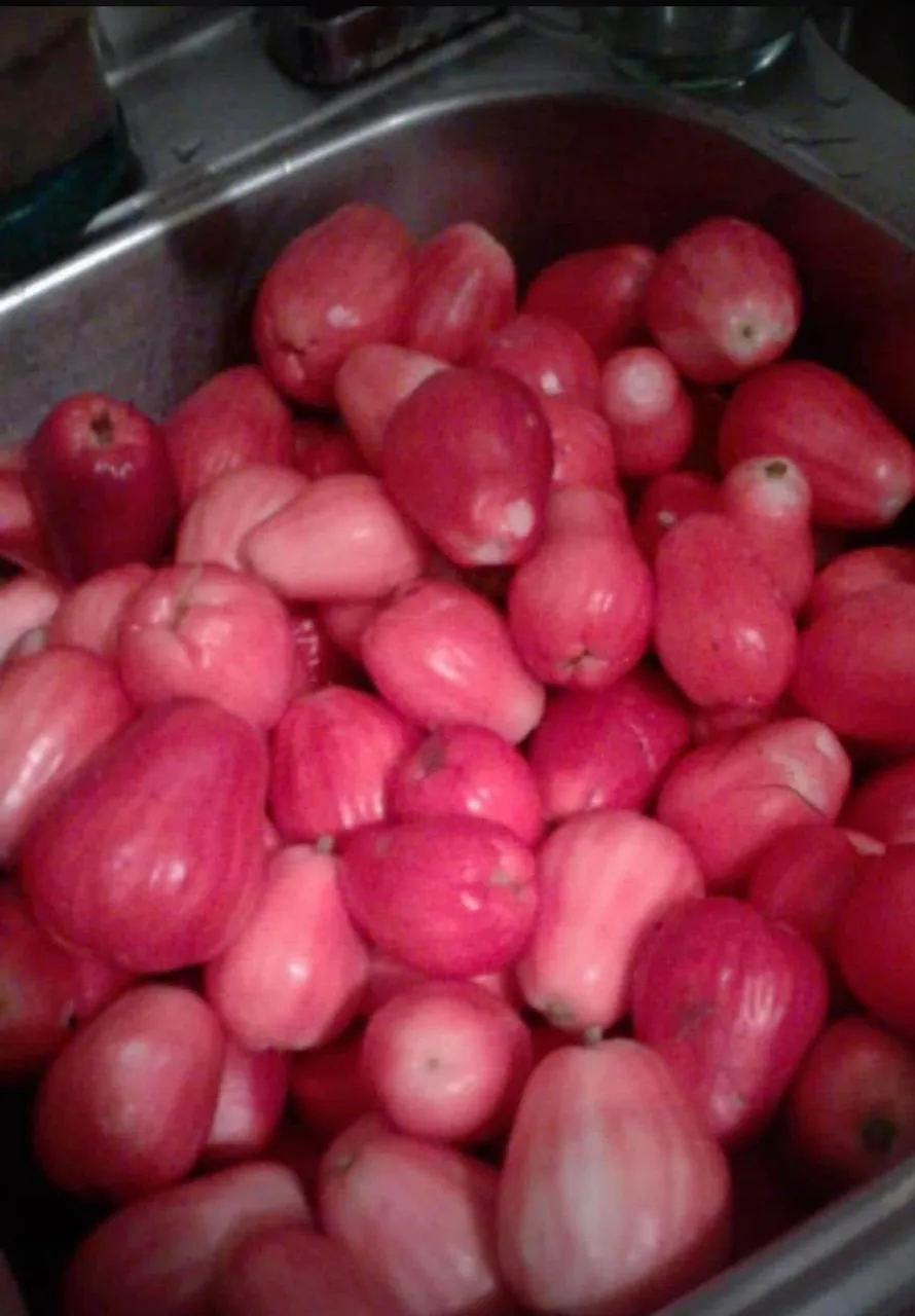 received_1159329071108628 (2).jpeg