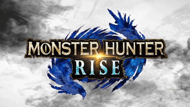 Monster-Hunt-Rise-Controls-Guide.gif