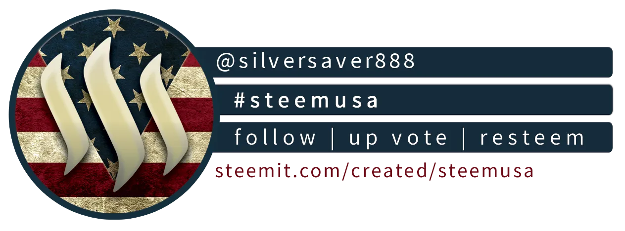 Steem USA Compact Banner