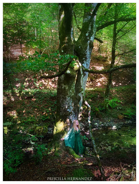 priscilla_hernandez_kissing_tree.jpg