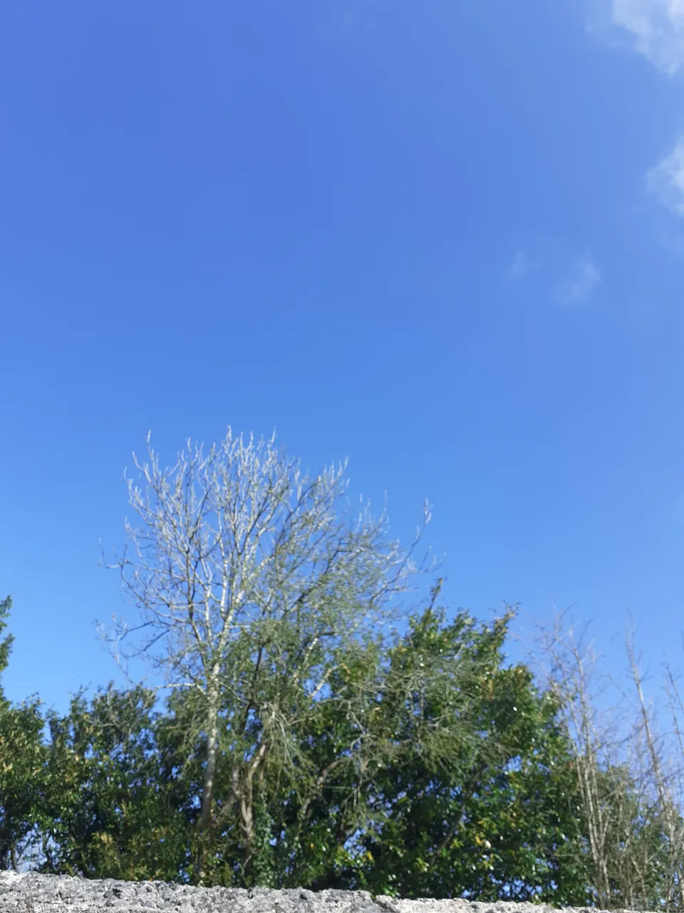 16174451018168141360326228672902.jpg