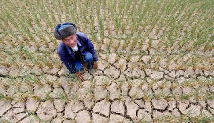 china_drought_120170530170252.jpg
