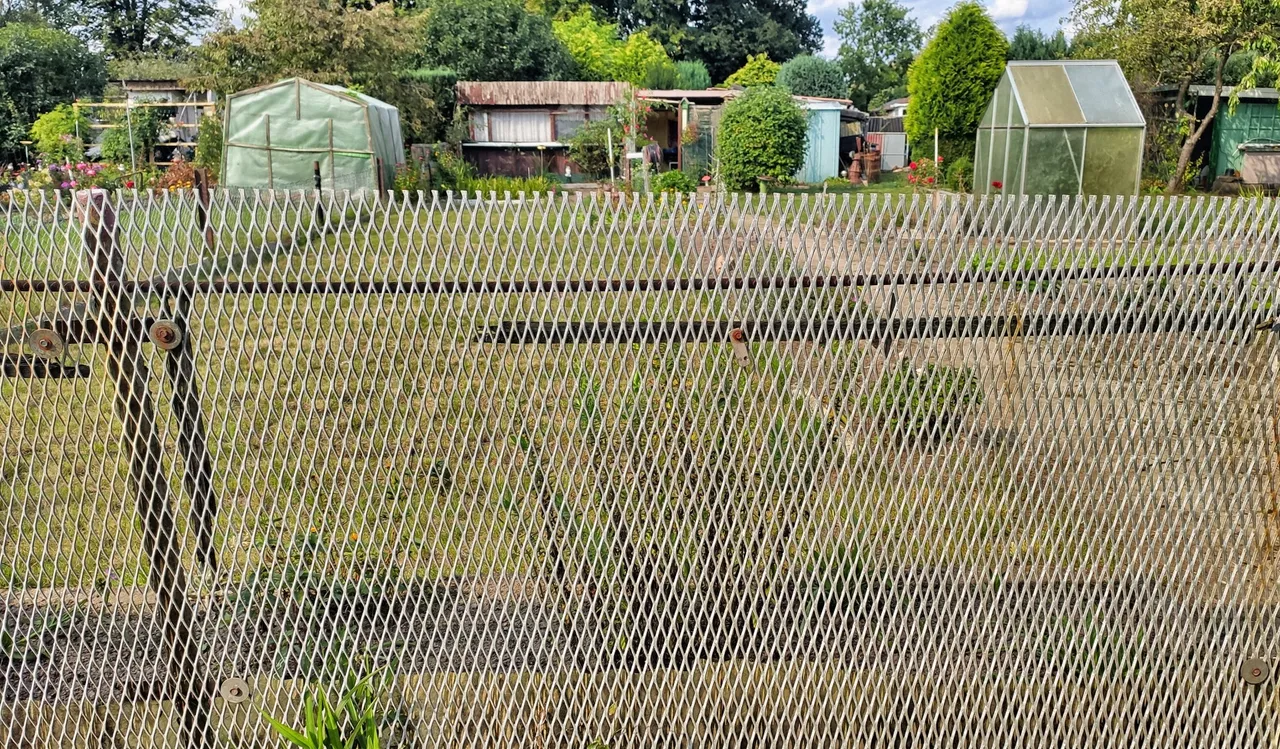 The iron fence, once a killing part of the borderline, now garden fence.