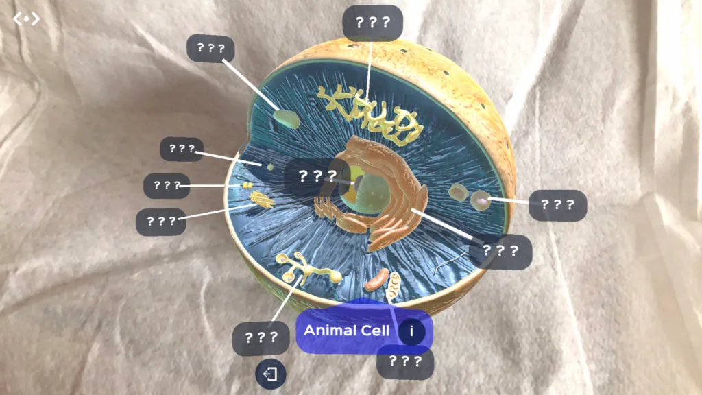 animalcell-1024x576.jpg
