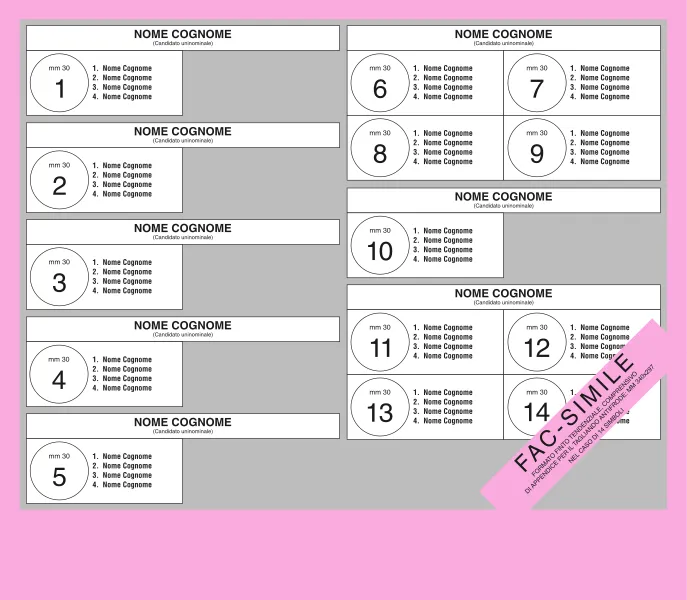 687px-Rosatellum's_voting_paper.png