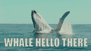 U5drXXamCBecmGEG4nEsDrDENioeqUx.gif