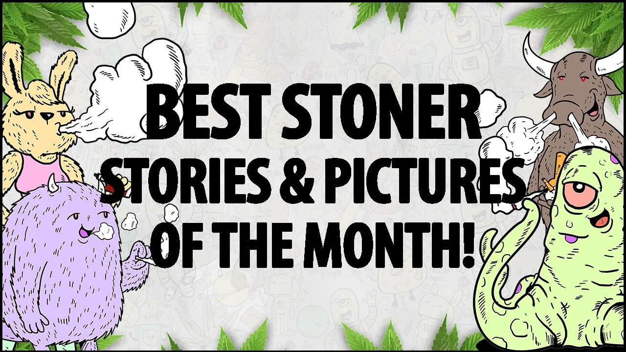 best stoner stories month.jpg