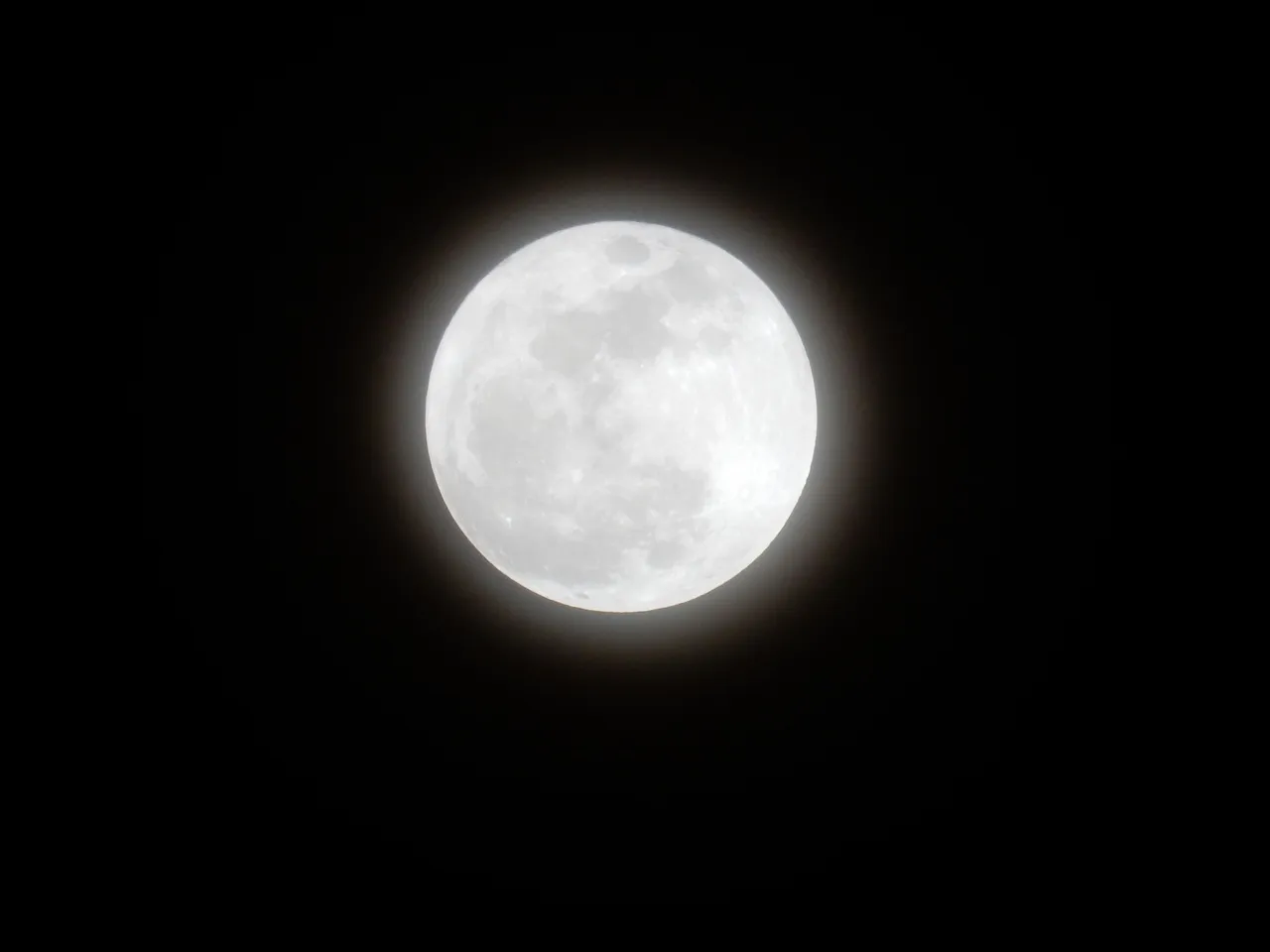 wolf moon pretty 1.1.2018.JPG