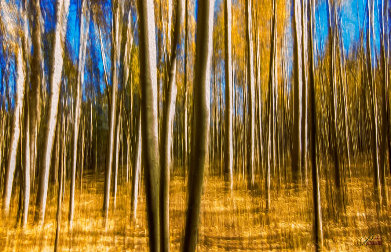 Golden Colorado oil paint.jpg
