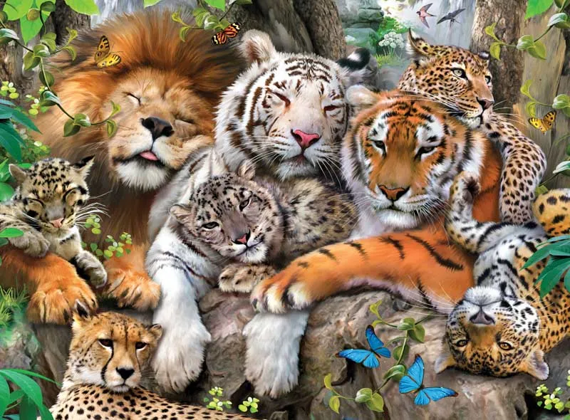 cats all big cat family.jpg