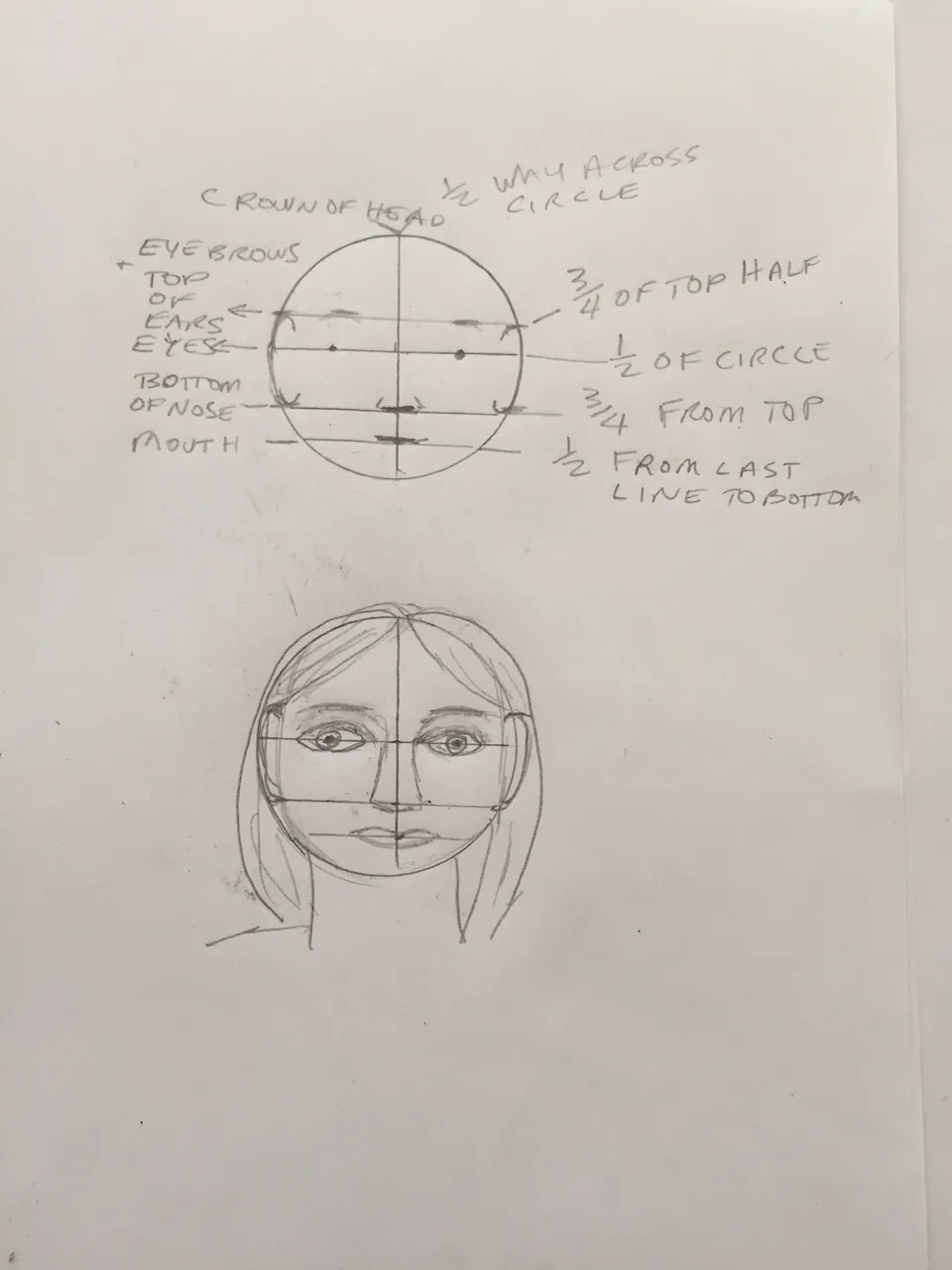 Drawing structure of face.JPG