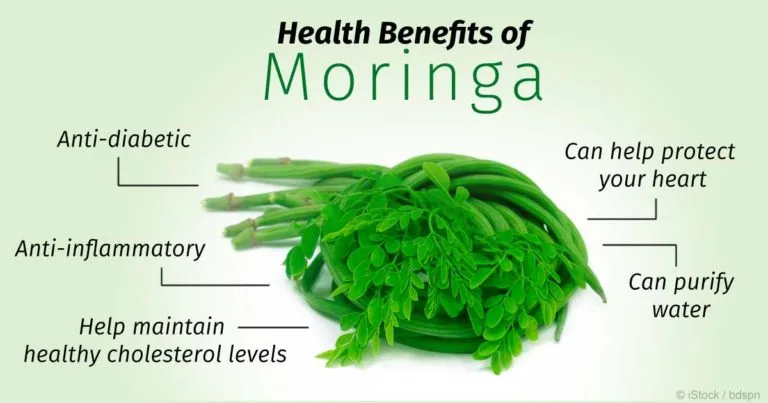 health-benefits-moringa-768x403.jpg