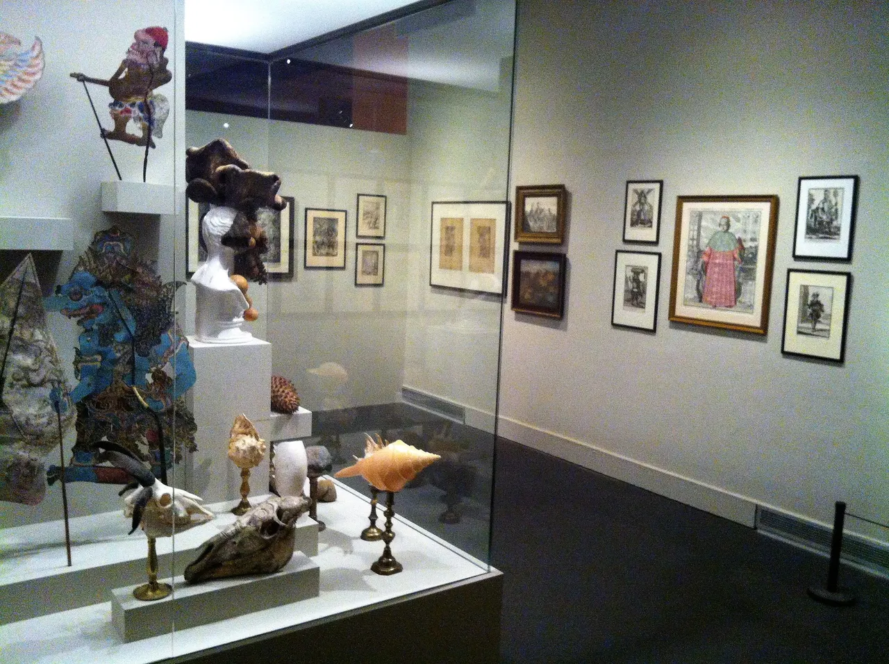 Metamorfosis_exhibit_at_CCCB_03.JPG