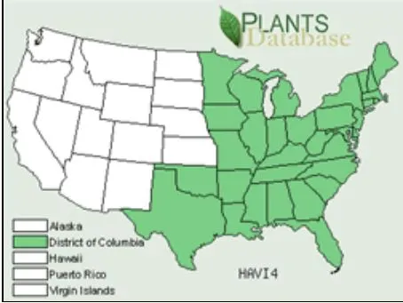 witch hazel map fs.fed.us.JPG