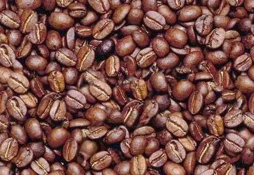 MAN IN THE COFFEE BEANS.jpg