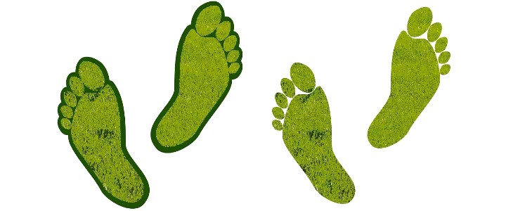 Ways-to-Reduce-Carbon-Footprint.png
