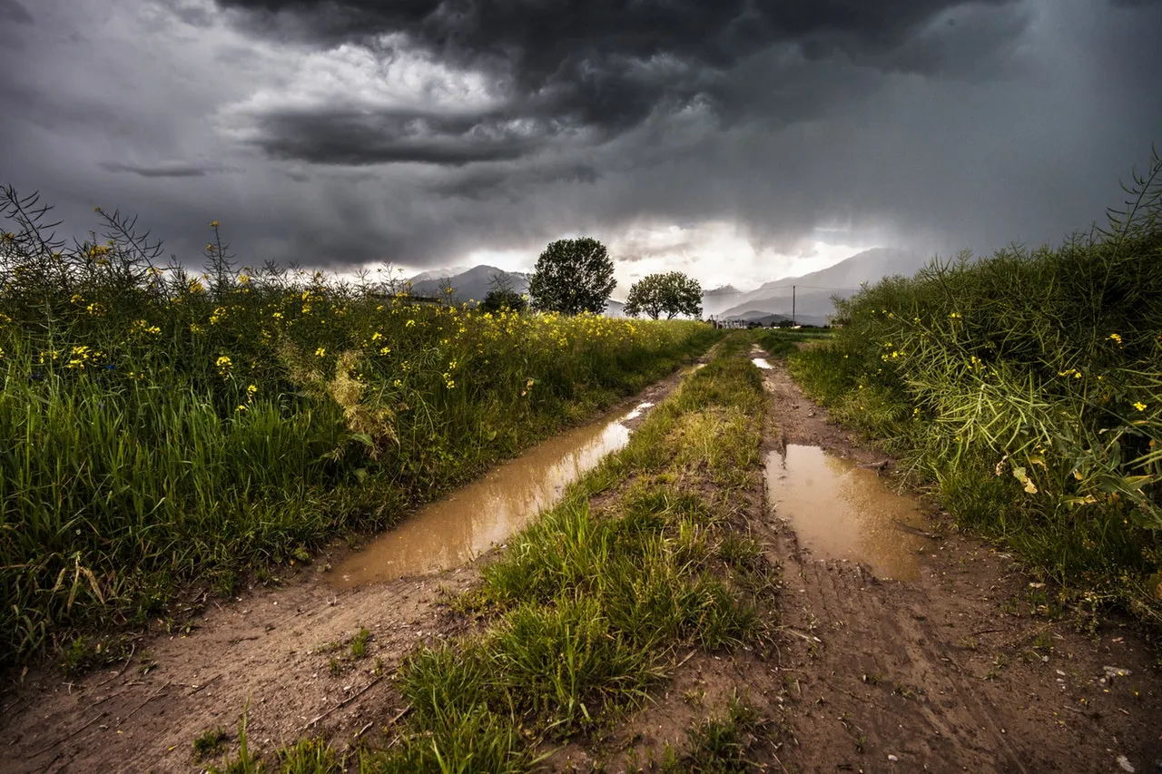 field-thunderstorm-rainy-meadow.jpg