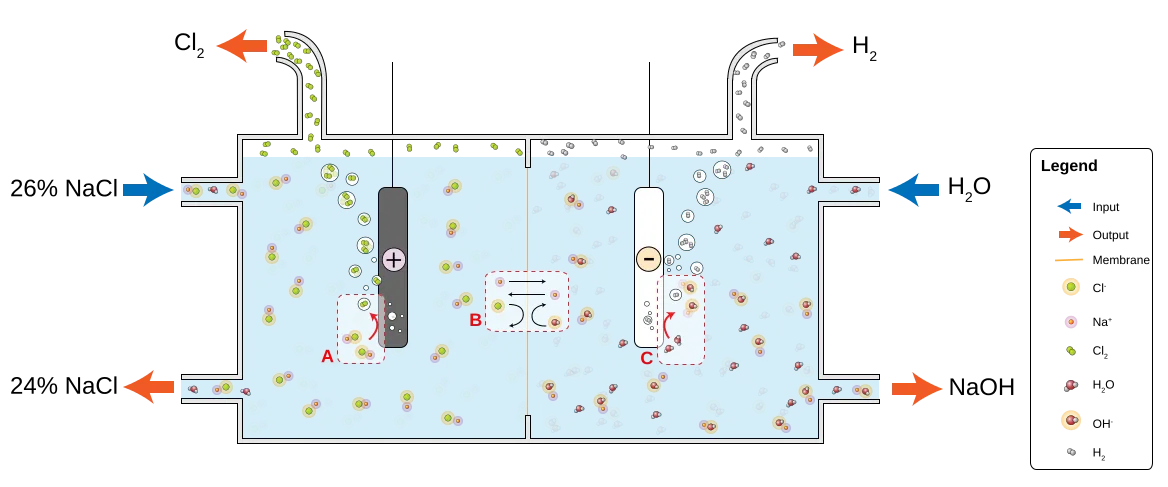1168px-Chloralkali_membrane.svg.png