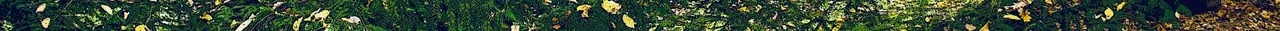 barwy-jesieni-1508704060Kbv 4.jpg