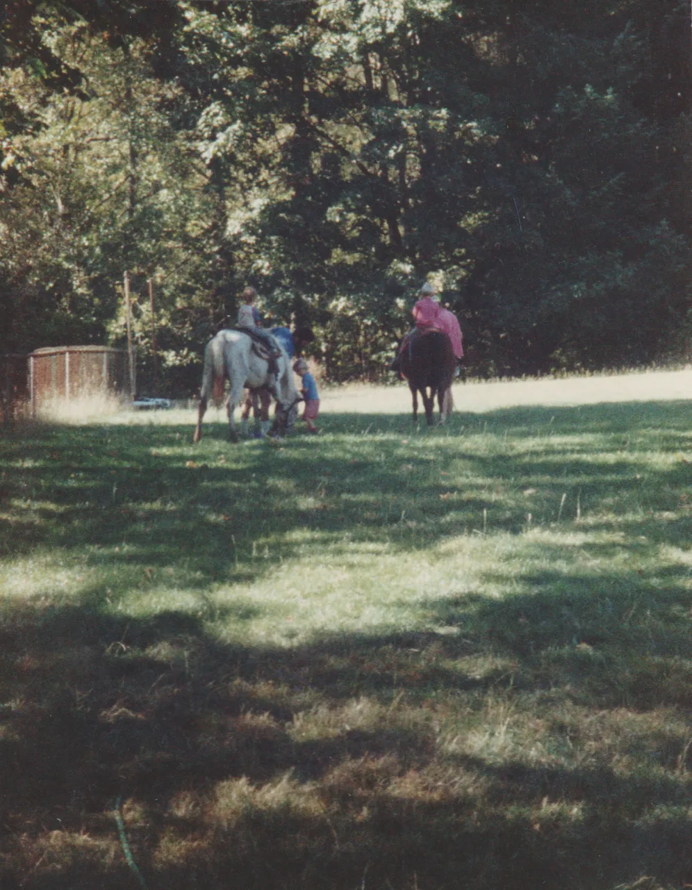 1988-08 - Church Picnic - Scanned 2021-07-22 - Horses, Dog, Joey, Rick, Katie, Lake, Kids-07 ok.png