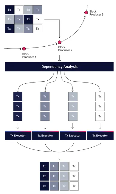 Aergo PARALLELISM