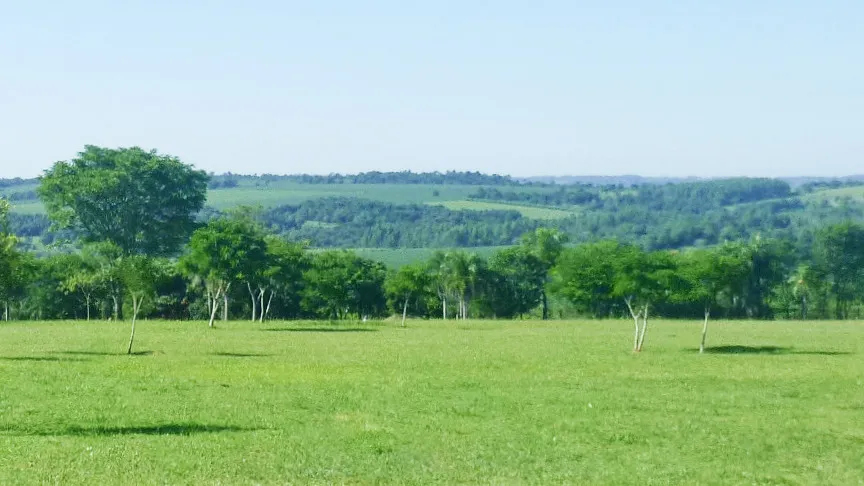 Rolling Hills