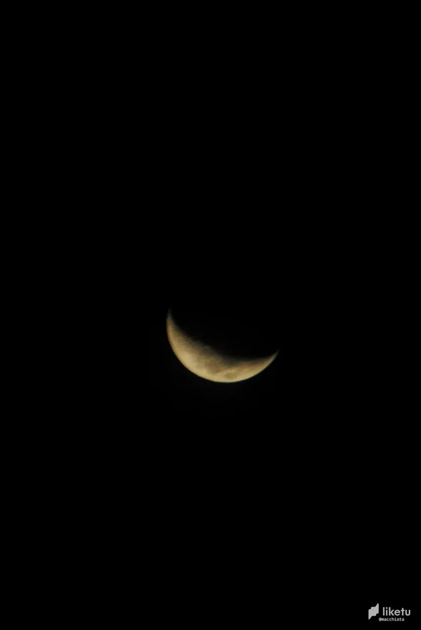 405opf19l2yf2v7b_DSC05152.jpg