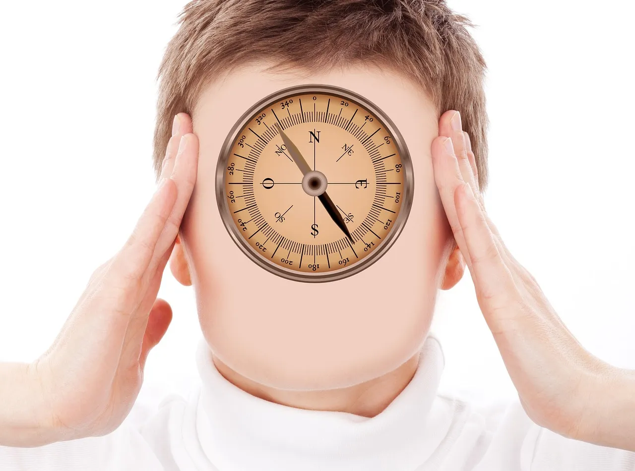 Geralt is the creator of this image/Source:   Pixabay