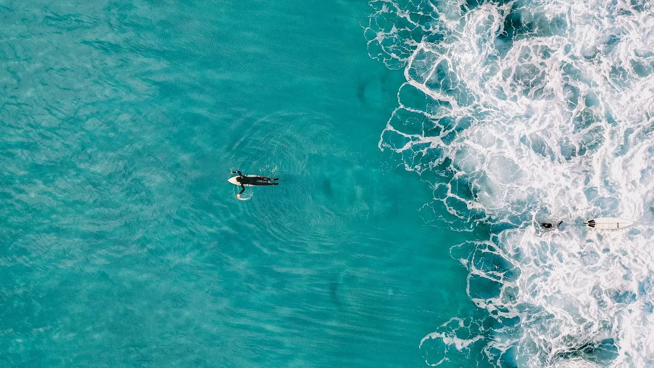 A surfer paddling out to a wave.