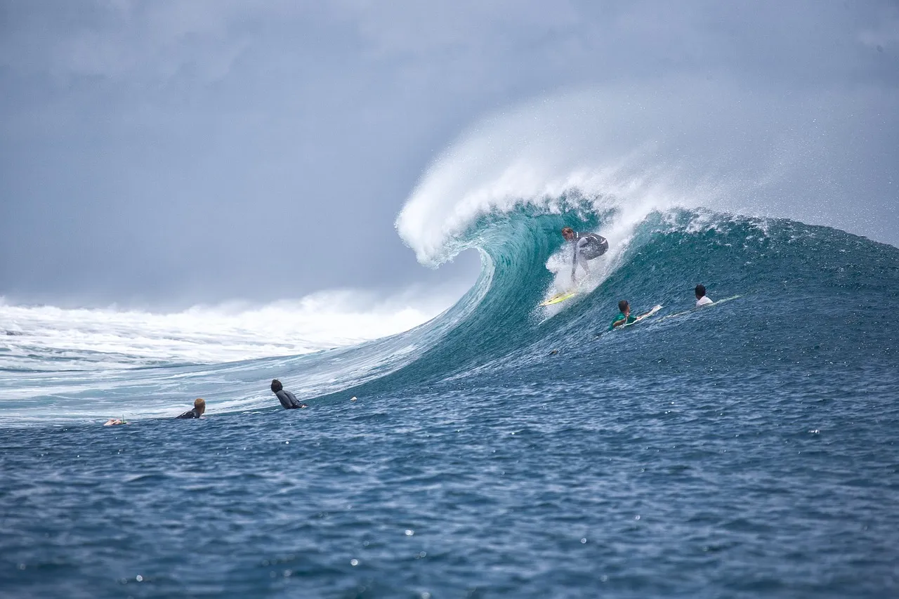 A group of surfers enjoying a wave.