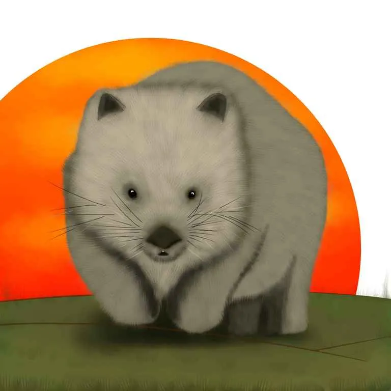 Wombat8.jpg