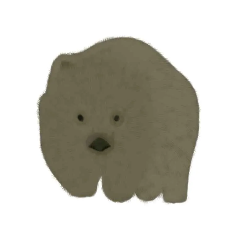 Wombat2.jpg