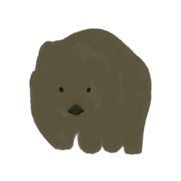 Wombat1.jpg