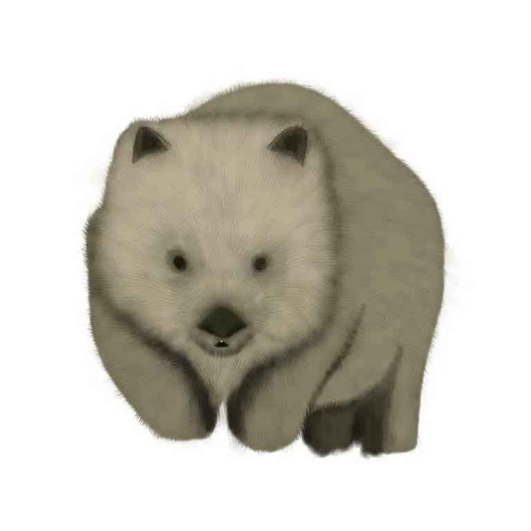Wombat5.jpg