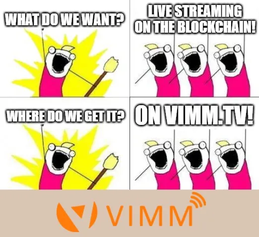 Vimm_meme.jpg