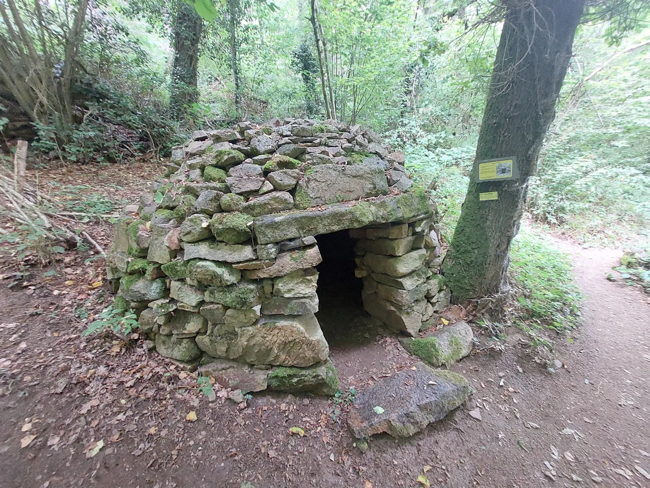 1000064249.jpg