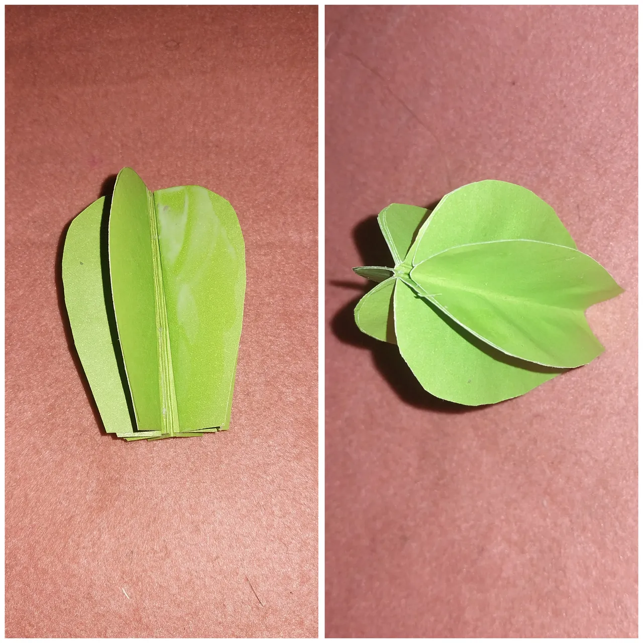 1000148112.jpg
