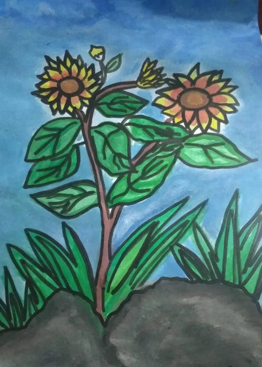 draw6.jpg