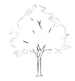 2.PNG