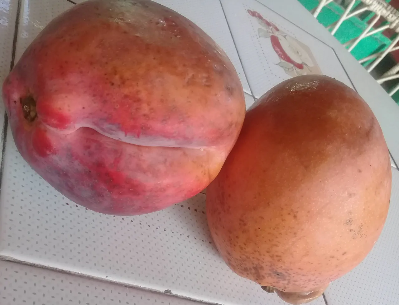 mango.jpg