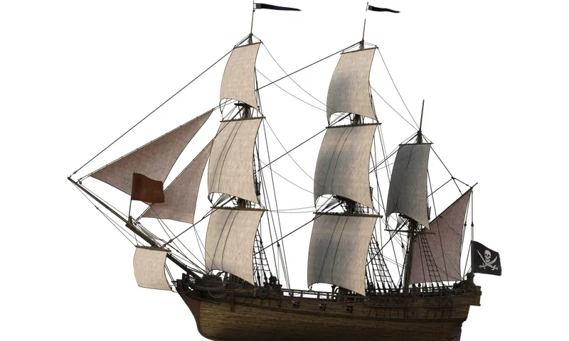 P6.jpg