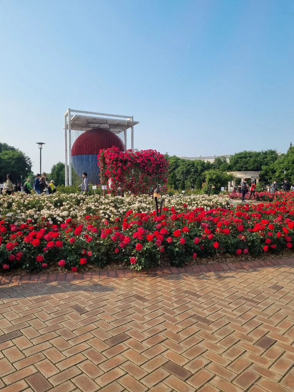 Rose Festival in Korea