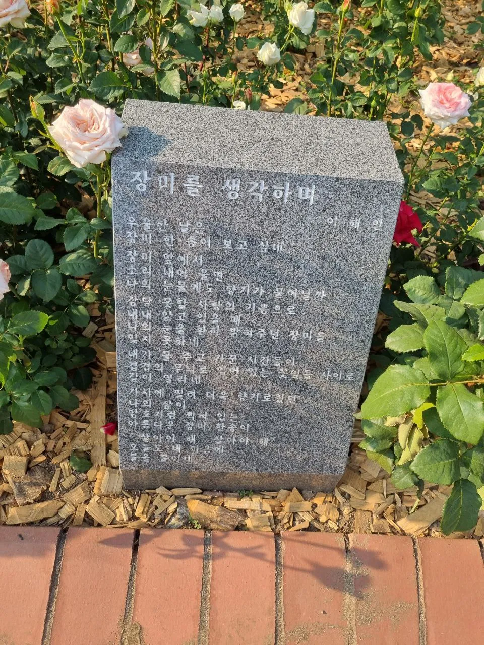 
Фестиваль роз в Корее 2022
