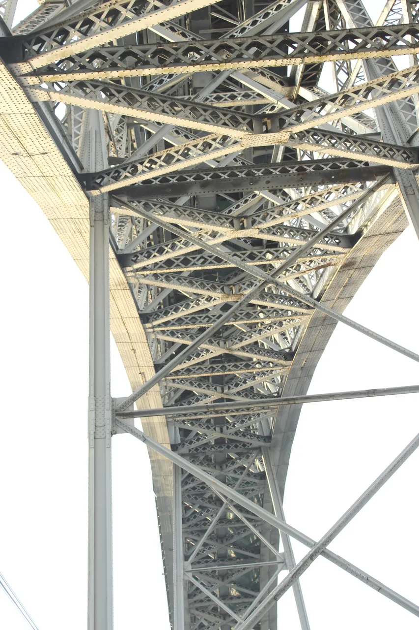 IMG_6013.JPG